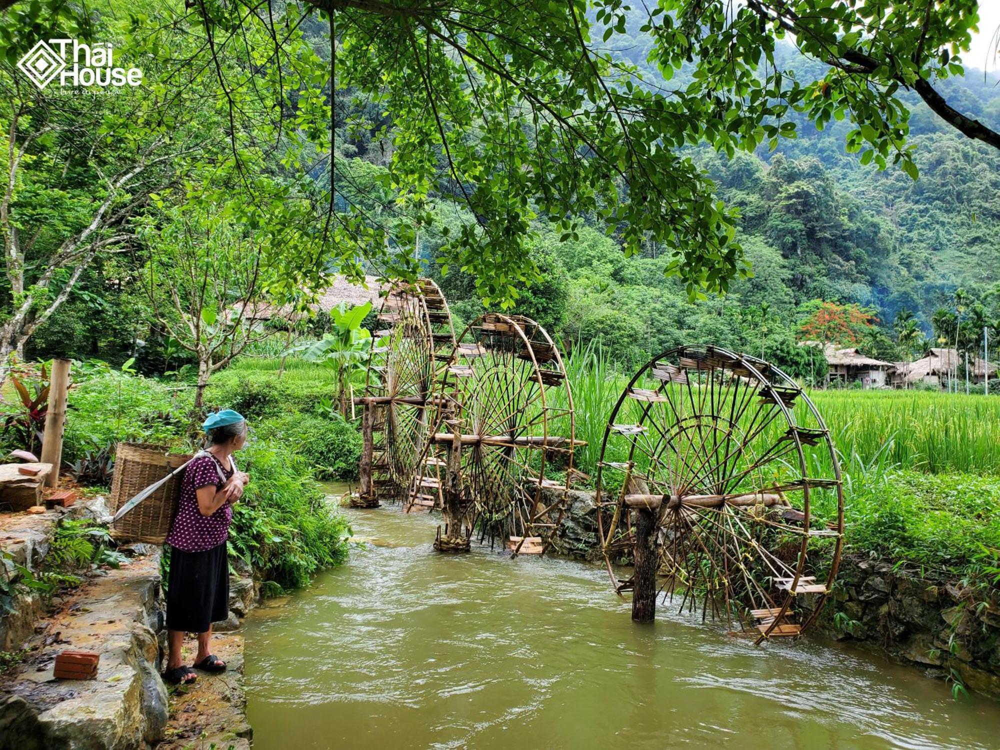 Thai House Pu Luong - Century Old Stilt House With Terrace Views Huong Ba Thuoc Exterior foto